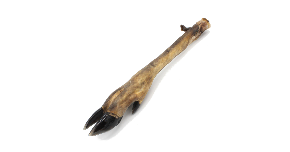 Lot De 4 Pattes De Chevreuil/Biche - Idéal Pour Manche, Patère - Nature - Occasion